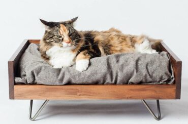 10-Best-Cat-Beds-in-2022-Purrrrfect