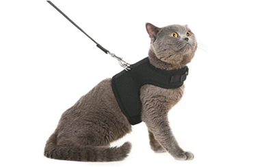 10-Best-Cat-Harnesses-in-2022