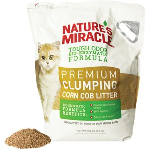10-Best-Cat-Litters-for-Odor-Control-in-2022-10