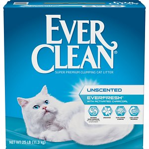 10-Best-Cat-Litters-for-Odor-Control-in-2022-5
