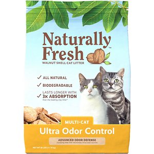 10-Best-Cat-Litters-for-Odor-Control-in-2022-7