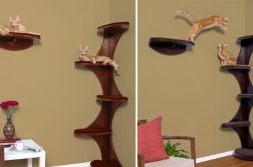 10-Best-Cat-Trees-in-2022