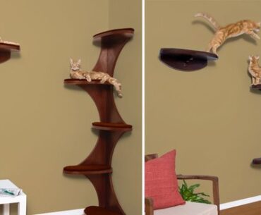 10-Best-Cat-Trees-in-2022