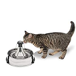 10-Best-Cat-Water-Fountains-in-2022-10