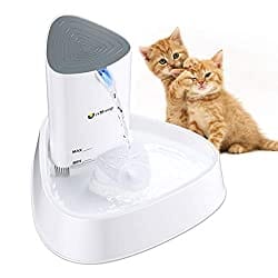 10-Best-Cat-Water-Fountains-in-2022-3