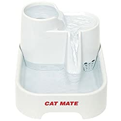 10-Best-Cat-Water-Fountains-in-2022-6