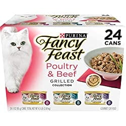 8-Best-Wet-Food-for-Cats-in-2022-4