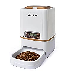 9-Best-Automatic-Cat-Feeders-in-2022-5