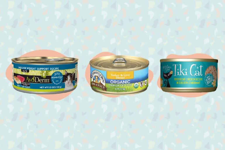 best-canned-cat-foods