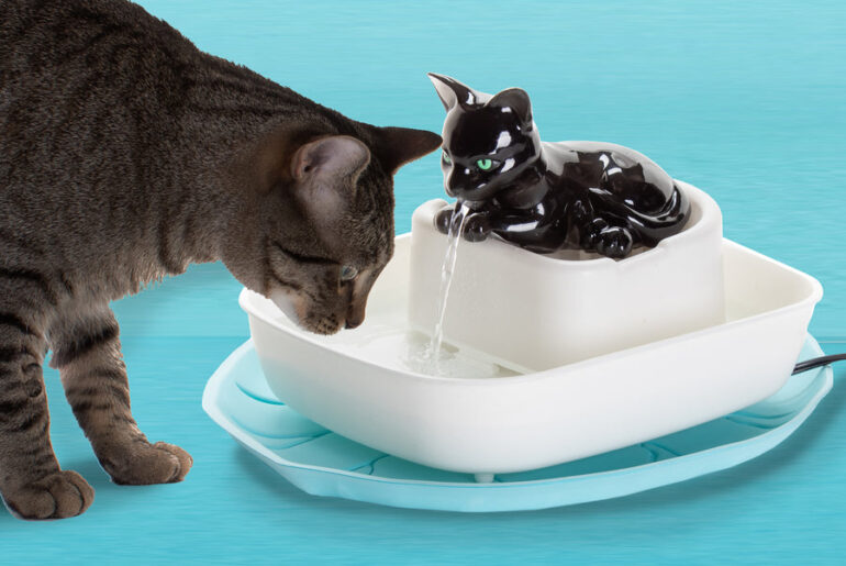 cat-water-fountains