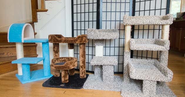 The 8 Best Cat Trees of 2022