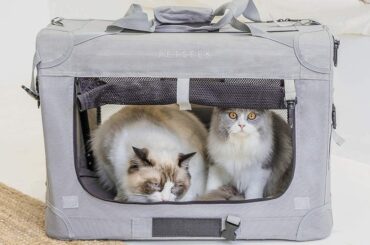 Best-Cat-Carriers