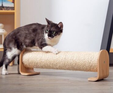 Best-Cat-Scratching-Posts