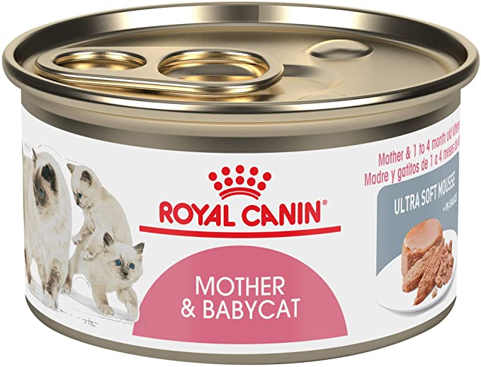 Best for Weaning Kittens: Royal Canin Mother & Babycat Canned Wet Cat Food