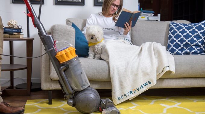 The 8 Best Vacuums for Pet Hair in 2022