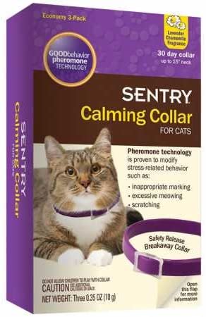 Sentry Calming Training collar for Cats
