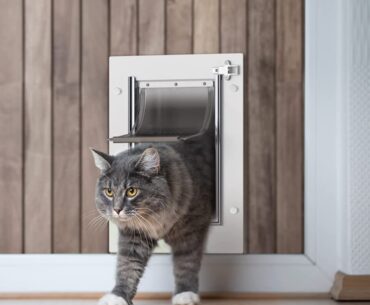 Cat-Door-with-Grooming-Brush