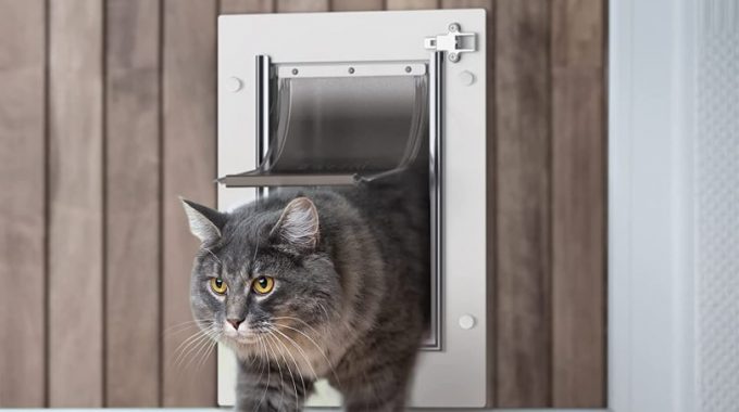 Cat Doors with Grooming Brushes