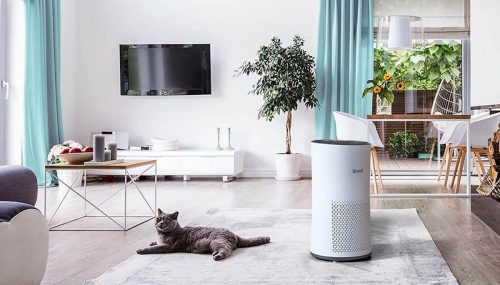 Best Rated Air Purifier For Cat Litter