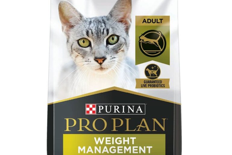 Healthy Weight Support with Purina Pro Plan Focus Weight Management Mature Adult Dry Cat Food