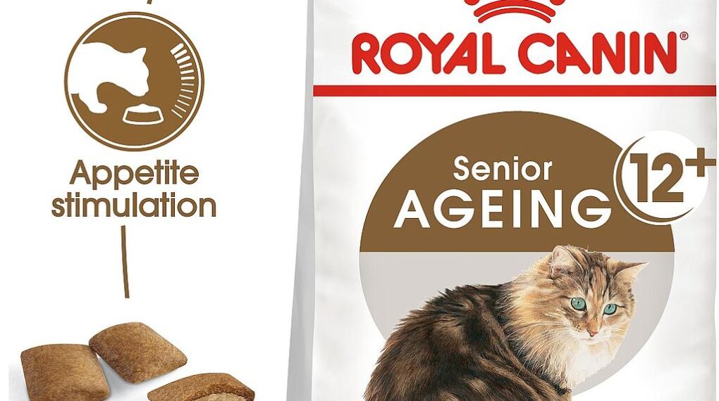 Introduction to Royal Canin Feline Aging 12+ Dry Cat Food