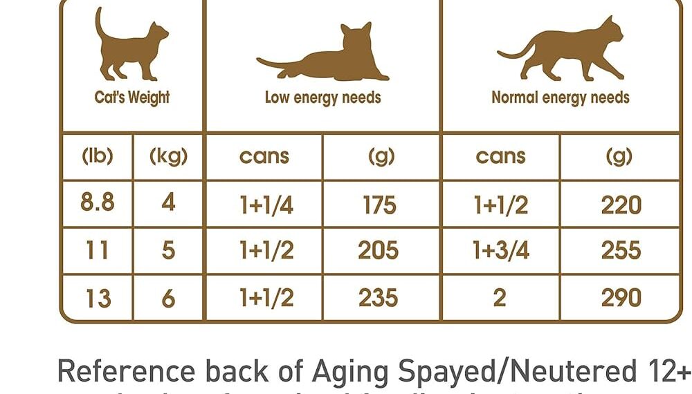 How to Feed your Cat Royal Canin Feline Aging 12+ Dry