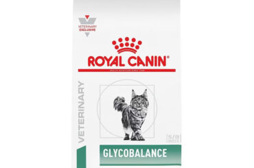 Helping Cats Maintain Healthy Blood Glucose Levels with Royal Canin Glycemic Control Cat Food