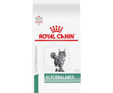 Helping Cats Maintain Healthy Blood Glucose Levels with Royal Canin Glycemic Control Cat Food