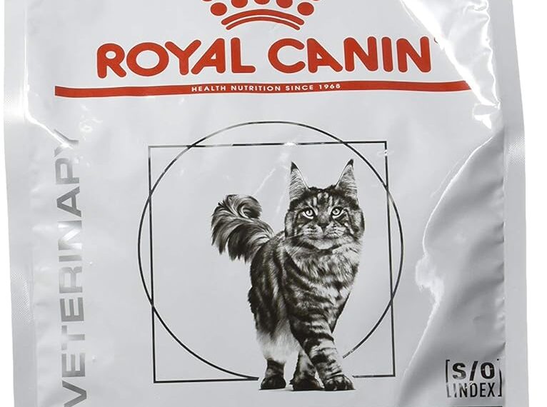 Introduction to Royal Canin Glycemic Control Dry Cat Food