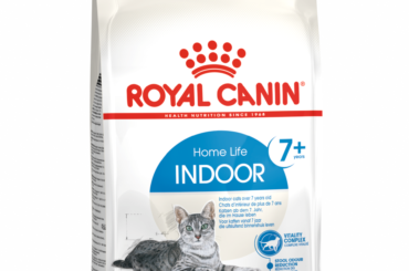 Keep Your Indoor Cat Happy & Healthy with Royal Canin Feline Care Nutrition Indoor Dry Cat Food