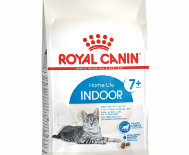 Keep Your Indoor Cat Happy & Healthy with Royal Canin Feline Care Nutrition Indoor Dry Cat Food