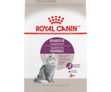 The Purrfect Diet for Royal Canin Feline Care Nutrition Sensitive Digestion