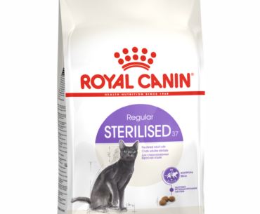 Tailored Nutrition for Sterilized Cats from Royal Canin Feline Care Sterilized Adult Dry Cat Food