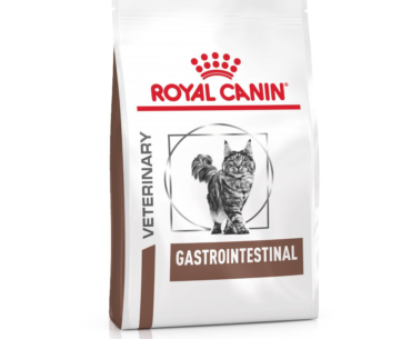 Gastrointestinal Support for Your Feline Friend: A Review of Royal Canin Feline Gastrointestinal High Energy Dry Cat Food