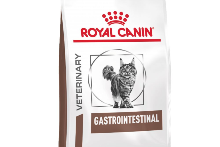Gastrointestinal Support for Your Feline Friend: A Review of Royal Canin Feline Gastrointestinal High Energy Dry Cat Food