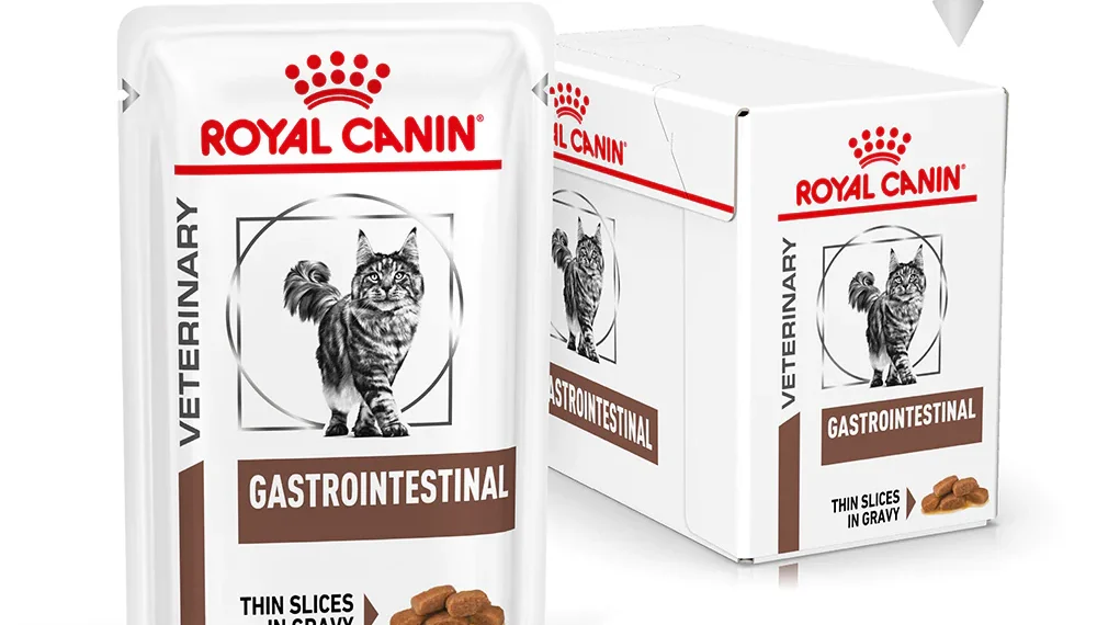 Where to Buy Royal Canin Feline Gastrointestinal High Energy Dry Cat Food