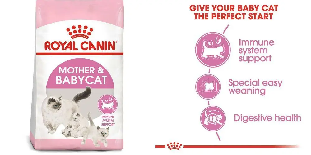 Introduction to Royal Canin Feline Health Nutrition Mother & Babycat Dry