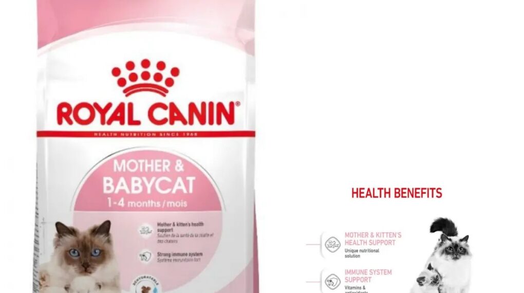 Benefits of Royal Canin Mother Babycat Formula