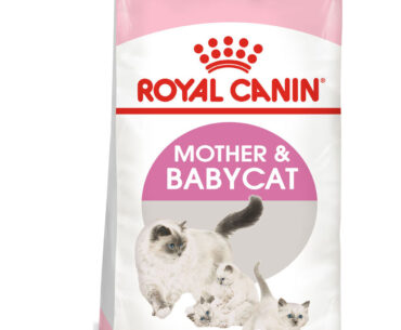 Give Your Cats and Kittens the Best Start with Royal Canin Feline Health Nutrition Mother Babycat Dry