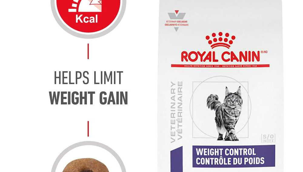 Where to Buy Royal Canin Feline Weight Control Cat Food