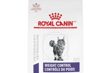 Helping Our Feline Friends Stay Fit with Royal Canin Feline Weight Control Cat Food