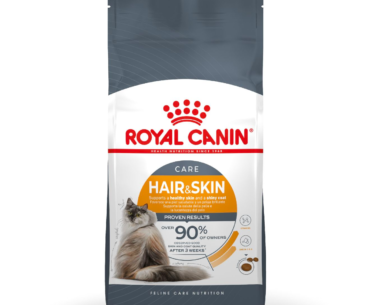 A Guide to Royal Canin Hair and Skin Care Formula Dry Cat Food