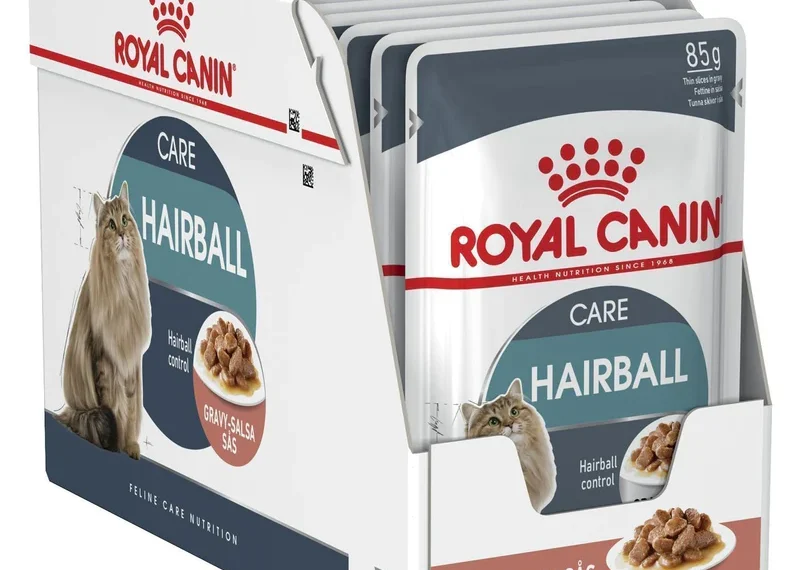 Where to Buy Royal Canin Hairball Care Dry Cat Food