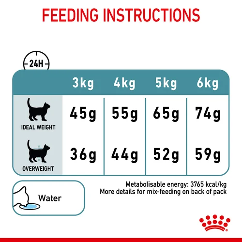 How to feed your Cat with Royal Canin Hairball Care Dry Cat Food