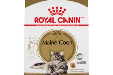 Optimize Your Maine Coon's Health with Royal Canin Maine Coon Sterilized Cat Food