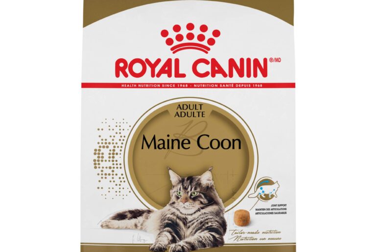 Optimize Your Maine Coon's Health with Royal Canin Maine Coon Sterilized Cat Food
