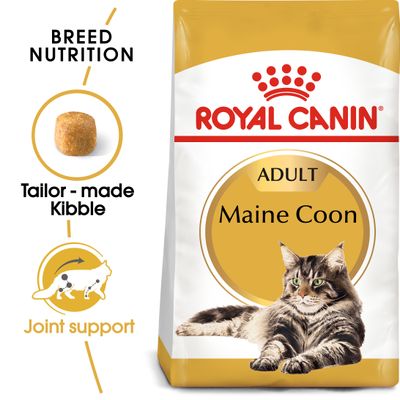 Introduction to Royal Canin Maine Coon Sterilized Cat Food