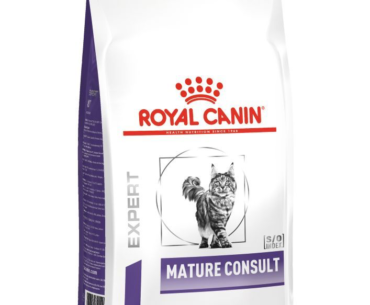 Help Your Aging Cat Thrive with Royal Canin Mature Consult Cat FoodHelp Your Aging Cat Thrive with Royal Canin Mature Consult Cat FoodHelp Your Aging Cat Thrive with Royal Canin Mature Consult Cat Food