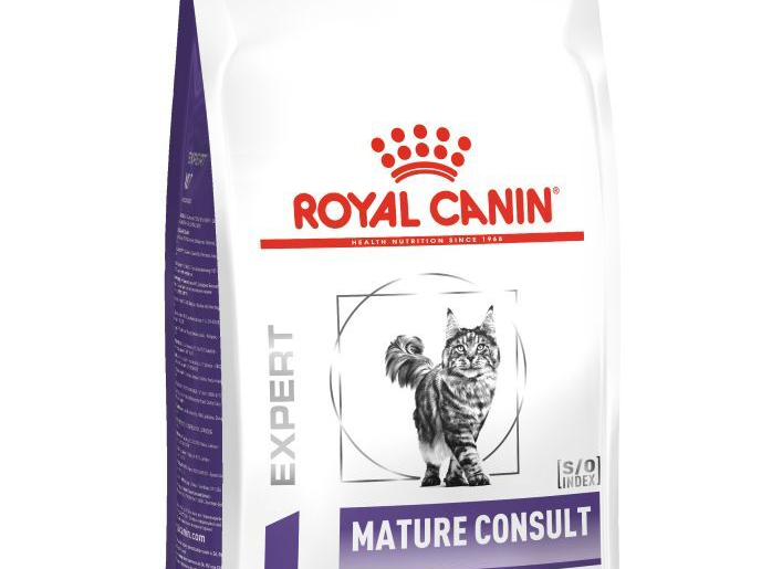 Help Your Aging Cat Thrive with Royal Canin Mature Consult Cat FoodHelp Your Aging Cat Thrive with Royal Canin Mature Consult Cat FoodHelp Your Aging Cat Thrive with Royal Canin Mature Consult Cat Food