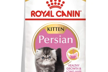 Specially Formulated for the Unique Needs of Royal Canin Persian Kitten